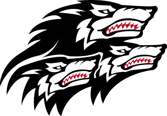 North Carolina State Wolfpack 1999-2005 Alternate Logo t shirts iron on transfers